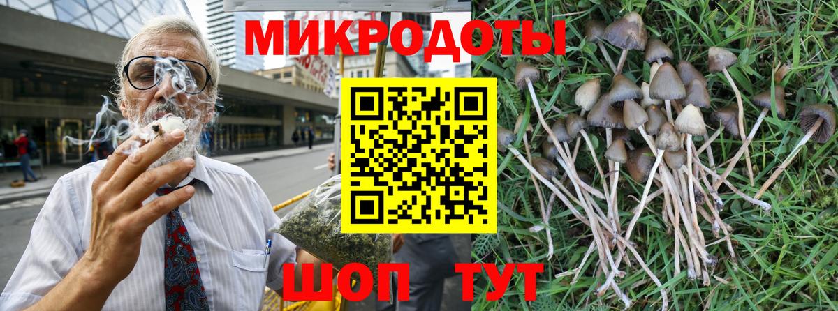Галлюциногенные грибы MAGIC MUSHROOMS Железногорск